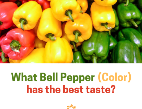 What Bell Pepper (color) has the Best Taste?